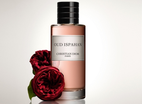 Oud Ispahan Inspired Eau De Parfum – Luxurious Unisex Woody Floral Fragrance 3 Smart Home, Kitchen & Everyday Gadgets | XTylr Oud Ispahan Inspired Eau De Parfum – Luxurious Unisex Woody Floral Fragrance - Image 3