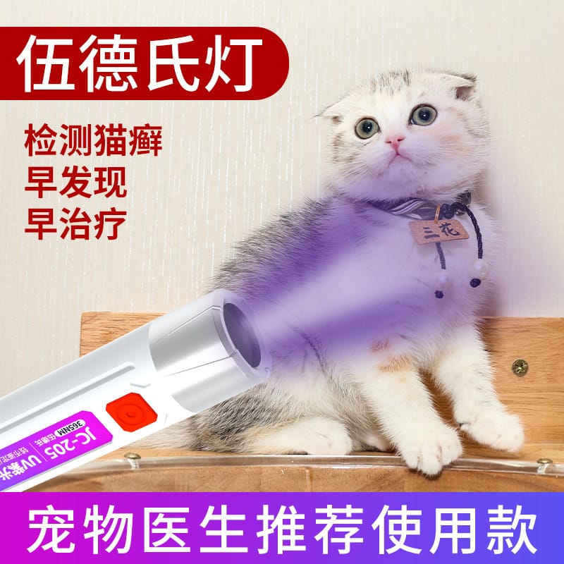365nm UV LED Money Detector K 206 | Portable Currency & Banknote Checker Torch 2 Smart Home, Kitchen & Everyday Gadgets | XTylr 365nm UV LED Money Detector K 206 | Portable Currency & Banknote Checker Torch - Image 2